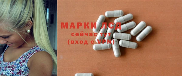 гидропоника Каменка