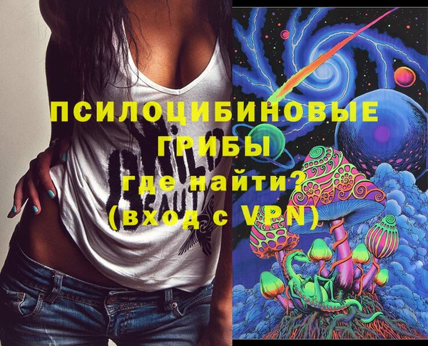 гидропоника Каменка