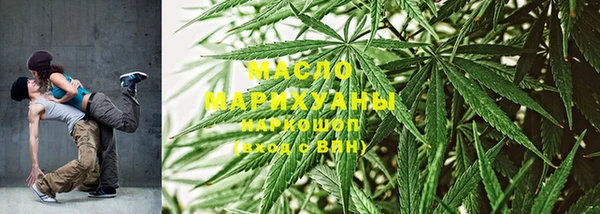 гидропоника Каменка