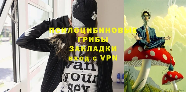 гидропоника Каменка