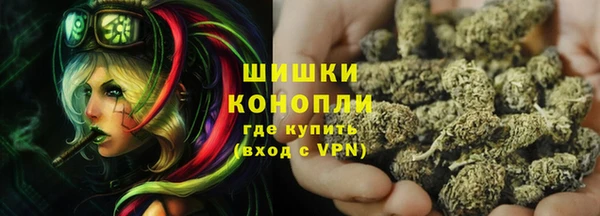 гидропоника Каменка