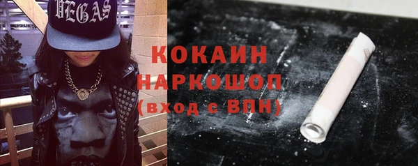 гидропоника Каменка