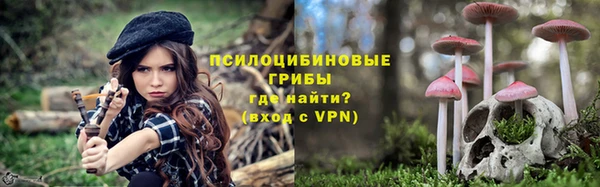 гидропоника Каменка