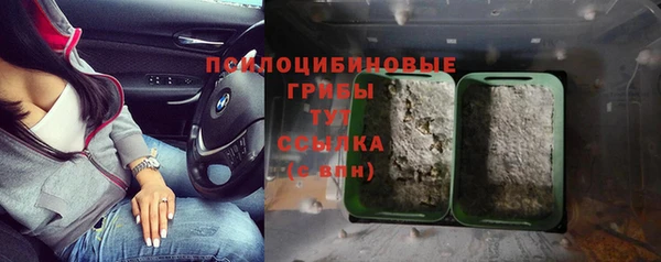 гидропоника Каменка
