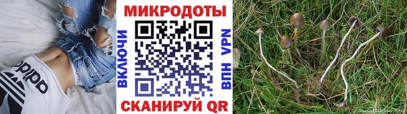 omg ONION  Октябрьский  Галлюциногенные грибы GOLDEN TEACHER  где купить наркоту 