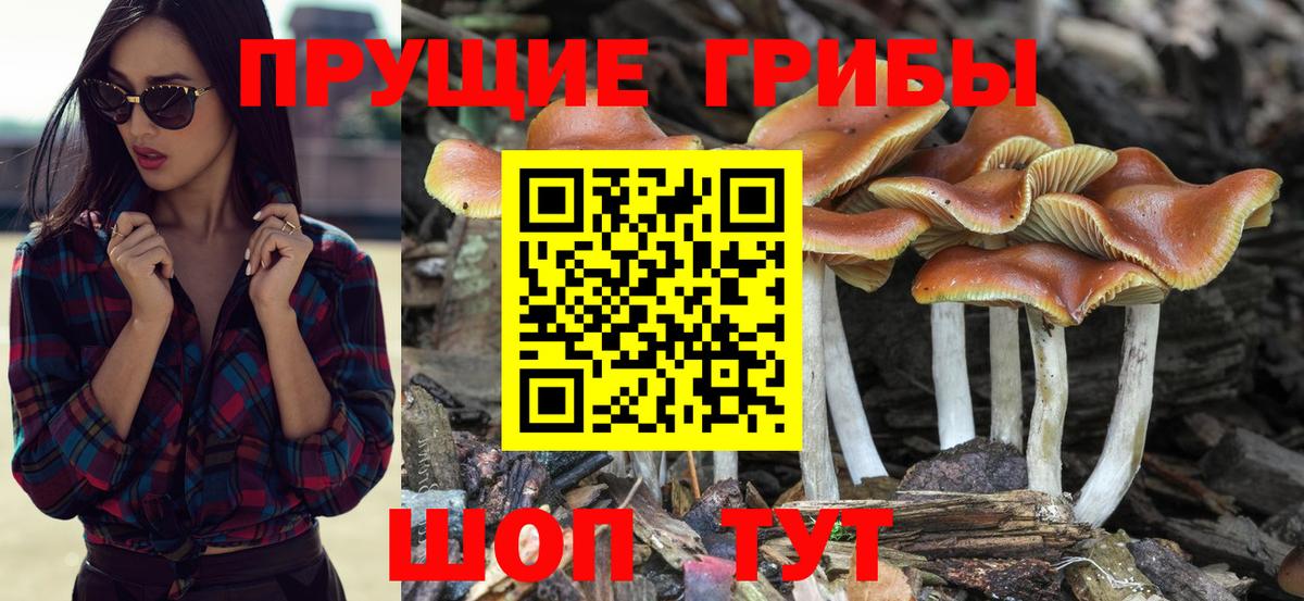 Октябрьский  Псилоцибиновые грибы ЛСД  Вход с VPN 