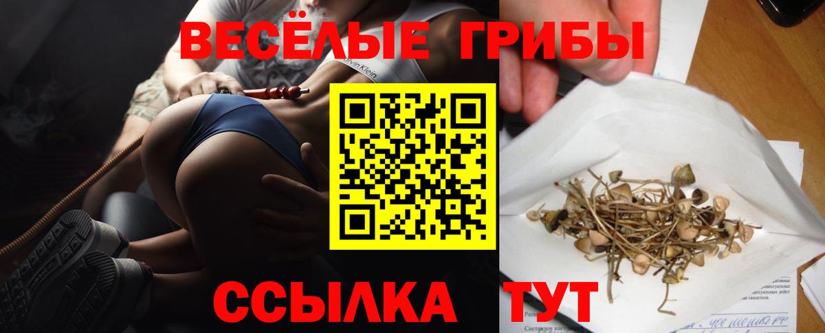 Галлюциногенные грибы Cubensis Октябрьский