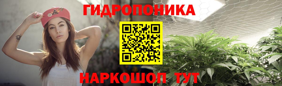 Бошки марихуана White Widow Октябрьский